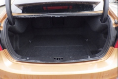 Car-A25-20